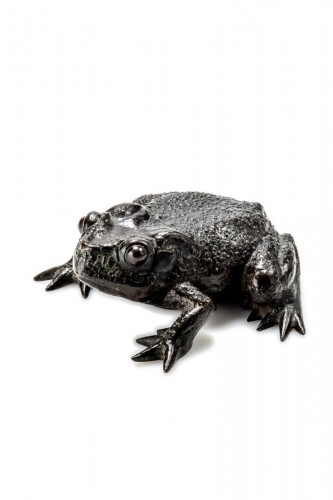A Japanese toad