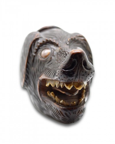 Curiosities  - Treen snuff box in the form of a dogs head. Scottish, 19th century.