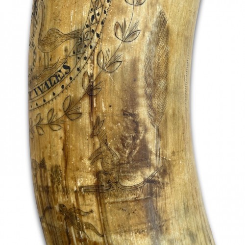 XIXe siècle - Flacon à poudre gravé en corne de vache de Nouvelle-Galles du Sud de l'Australie XIXe s