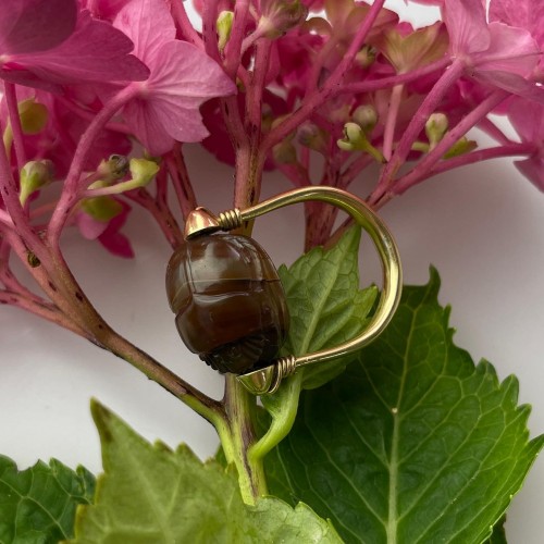 Bague en or avec un scarabée de sauterelle. Époque archaïque, Ve siècle av. - Matthew Holder