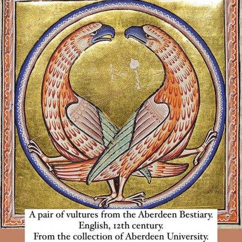 Bague en or avec un camée d'oiseau en sardonyx - Matthew Holder