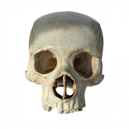 Crâne Memento Mori en bois enduit de gesso. Italie, XVIIIe siècle.