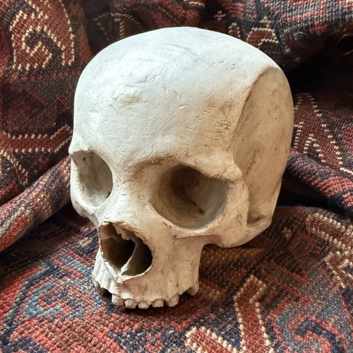 Memento Mori Skull in Gessoed Wood. Italy, 18th century. - Curiosities Style 