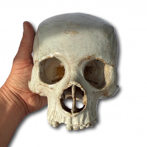 Antiquités - Memento Mori Skull in Gessoed Wood. Italy, 18th century.