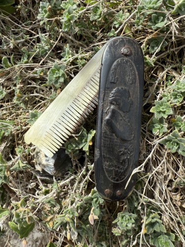 19th century - Patriotic Comb With George Washington