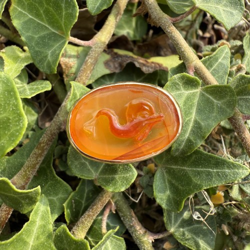 Antique Jewellery  - Gold Ring with a Cameo of a Dolphin