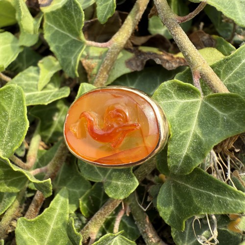 Gold Ring with a Cameo of a Dolphin - 