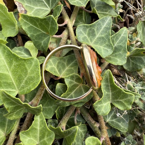  - Gold Ring with a Cameo of a Dolphin