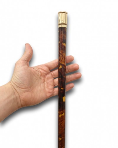 Tortoiseshell walking cane. French, c.1870 - Collectibles Style 