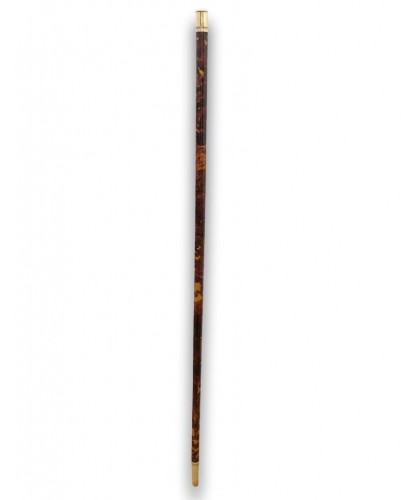 19th century - Tortoiseshell walking cane. French, c.1870