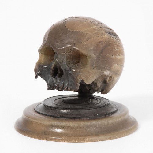 Objets de Curiosité  - Importante sculpture en corne d'un crâne, Allemagne milieu du 17e siècle