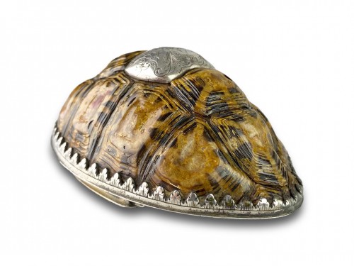 Tabatière en forme de tortue étoilée en argent, début du XVIIIe siècle - Objets de Vitrine Style 