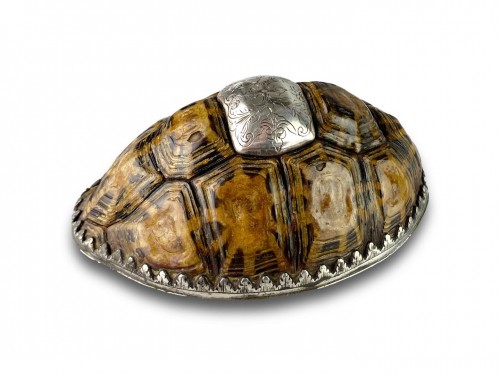 Silver mounted star tortoise snuff box, early 18th century - 