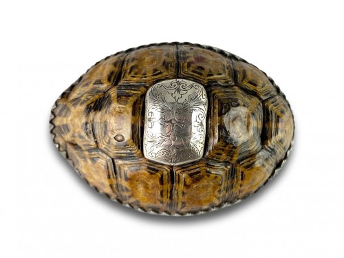 Silver mounted star tortoise snuff box, early 18th century - 