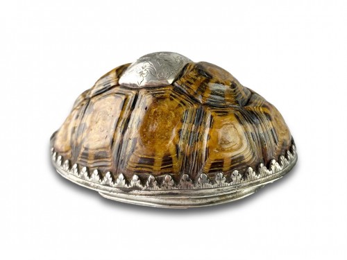  - Silver mounted star tortoise snuff box, early 18th century