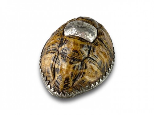 Antiquités - Silver mounted star tortoise snuff box, early 18th century