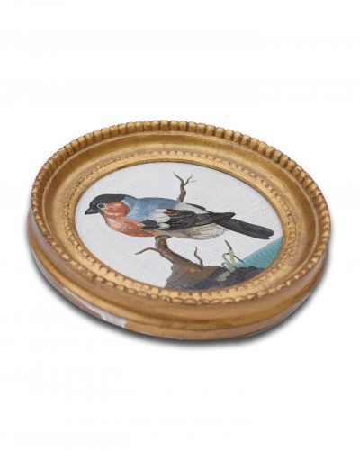 Large framed micromosaic plaque with a bull finch. Rome, circa. 1800. - 