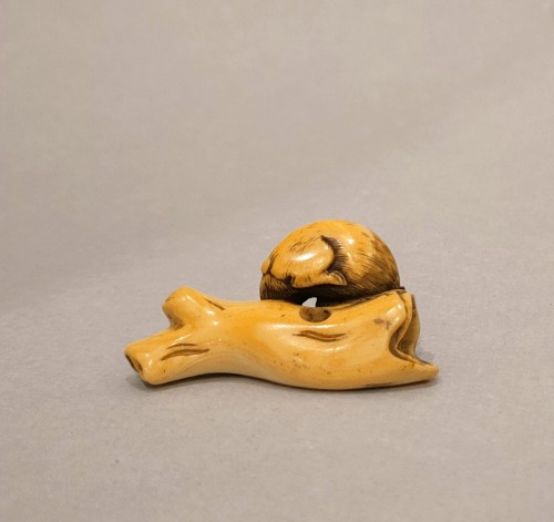 XVIIIe siècle - Netsuke – Rare modèle d’un lièvre couché, Japon Edo
