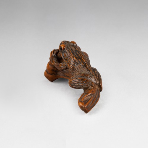 19th century - Netsuke - boxwood frog on a pumpkin stalk. Japan Edo