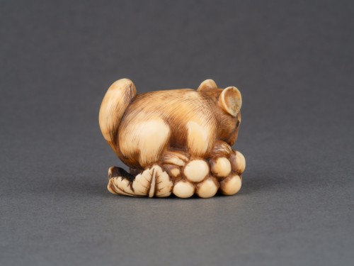 18th century - Ivory Netsuke By Ranichi Depicting A Dormouse, Edo Japan