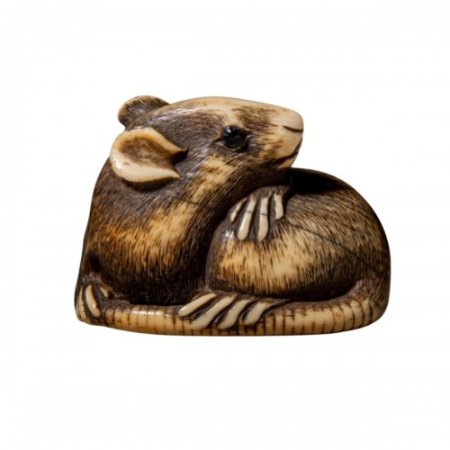 Netsuke, Ravissant modèle de rat, Japon Edo