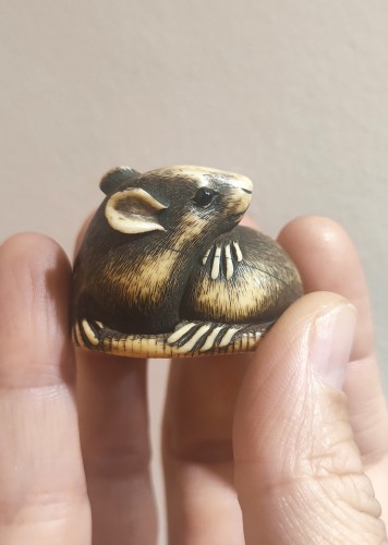 Antiquités - Netsuke, Ravissant modèle de rat, Japon Edo