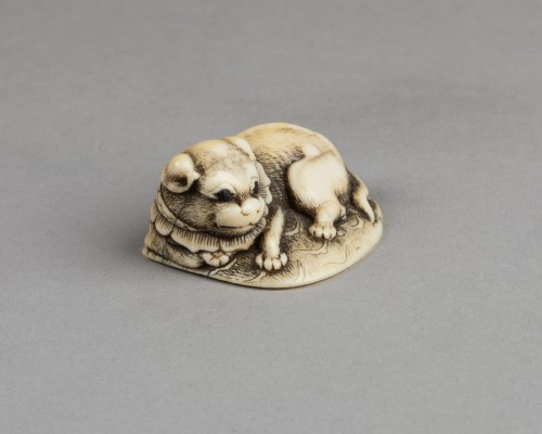 Netsuke – Chiot couché sur un tapis. Japon Edo XVIIIe siècle - Arts d