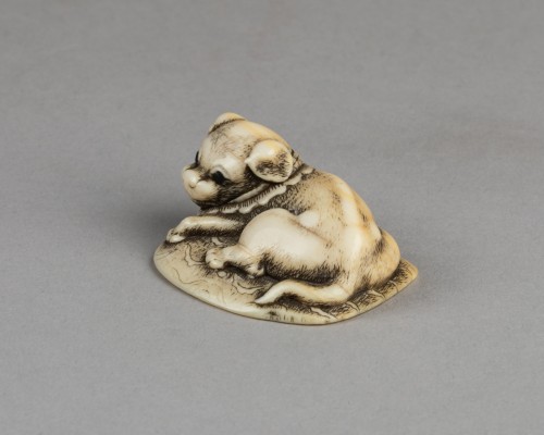 Netsuke – Chiot couché sur un tapis. Japon Edo XVIIIe siècle - Reflets des Arts