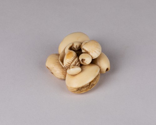 Netsuke - Conjoined Seashells - Asian Works of Art Style 