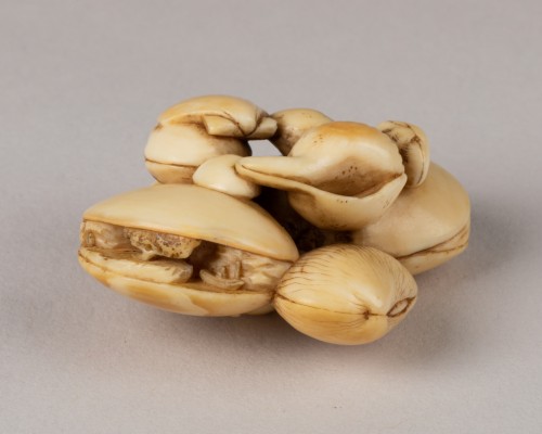 Asian Works of Art  - Netsuke - Conjoined Seashells