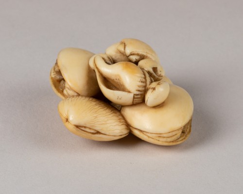 19th century - Netsuke - Conjoined Seashells
