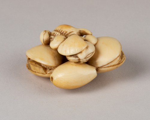  - Netsuke - Conjoined Seashells