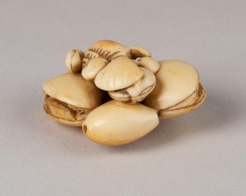  - Netsuke - Coquillages accolés, Japon Edo