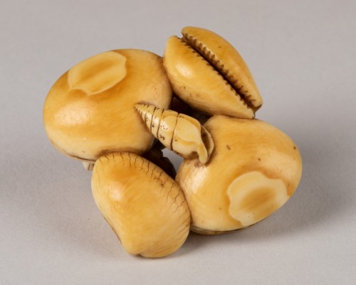 Antiquités - Netsuke - Conjoined Seashells
