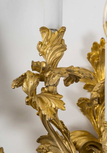 Lighting  - Important Pair of Five-Light Gilt Bronze Wall Sconces circa 1880-1890
