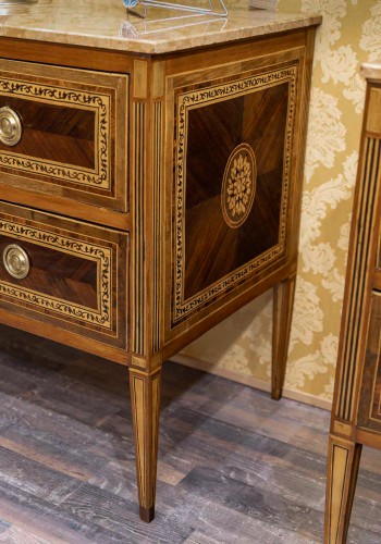 Pair of Italian Commodes Bearing the Effigy of Louis XVIII, Verona, c. 1795 - Directoire