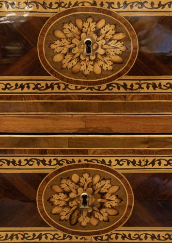 Antiquités - Pair of Italian Commodes Bearing the Effigy of Louis XVIII, Verona, c. 1795