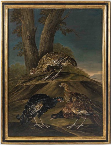 Tableaux et dessins Tableaux XVIIIe siècle - Natures Mortes aux oiseaux Italie fin XVIIIe, suiveur de Giovanni Crivelli