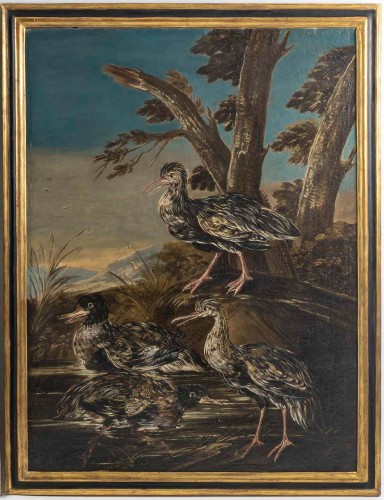 Natures Mortes aux oiseaux Italie fin XVIIIe, suiveur de Giovanni Crivelli - MLD Antiquités