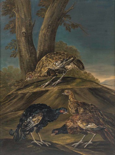 XVIIIe siècle - Natures Mortes aux oiseaux Italie fin XVIIIe, suiveur de Giovanni Crivelli