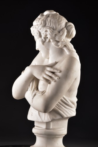 Sculpture  - Elegant marble bust of a young woman