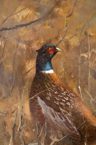 Pieter Daniel Dik (1943 - 1984) - Pheasant - Paintings & Drawings Style 