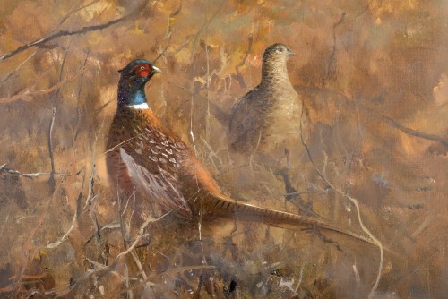 Pieter Daniel Dik (1943 - 1984) - Pheasant - 