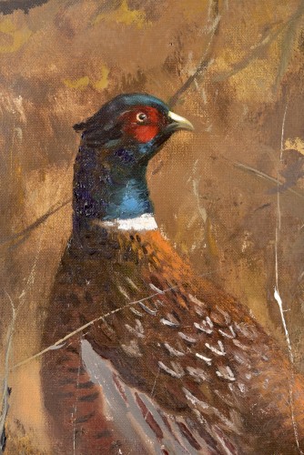 20th century - Pieter Daniel Dik (1943 - 1984) - Pheasant