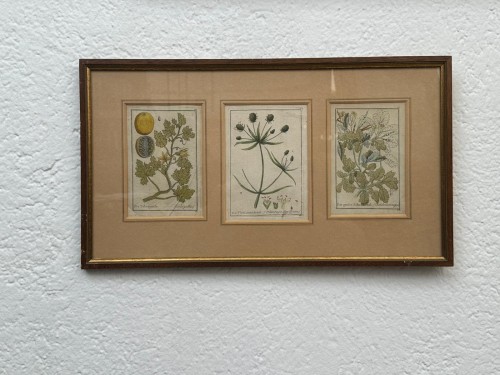 Original 18th-century German copperplate engravings, hand-colored. - Engravings & Prints Style 