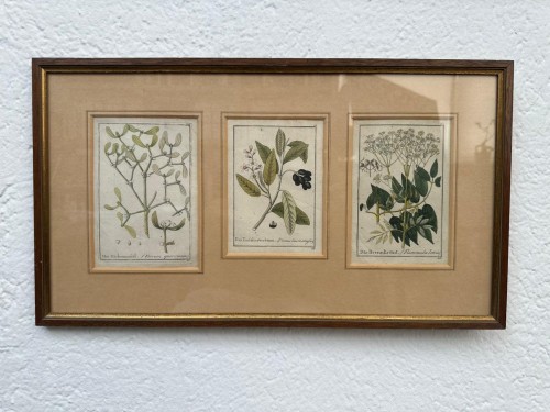 Engravings & Prints  - Original 18th-century German copperplate engravings, hand-colored.