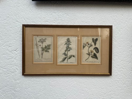 Original 18th-century German copperplate engravings, hand-colored. - 