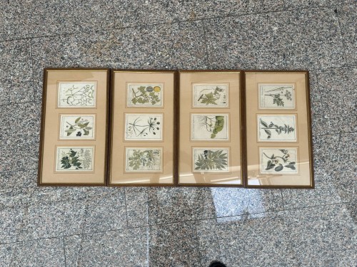 Original 18th-century German copperplate engravings, hand-colored. - 
