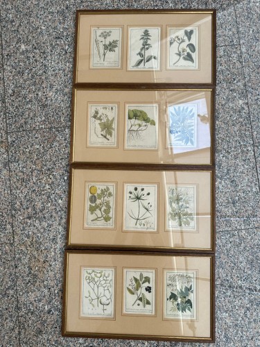  - Original 18th-century German copperplate engravings, hand-colored.