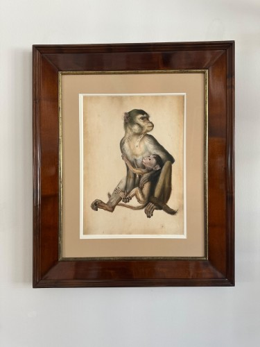 Paintings & Drawings  - Eduard Gurk (1801-1841) "Maimon-Affe" (Macaque) watercolor c. 1818-1820